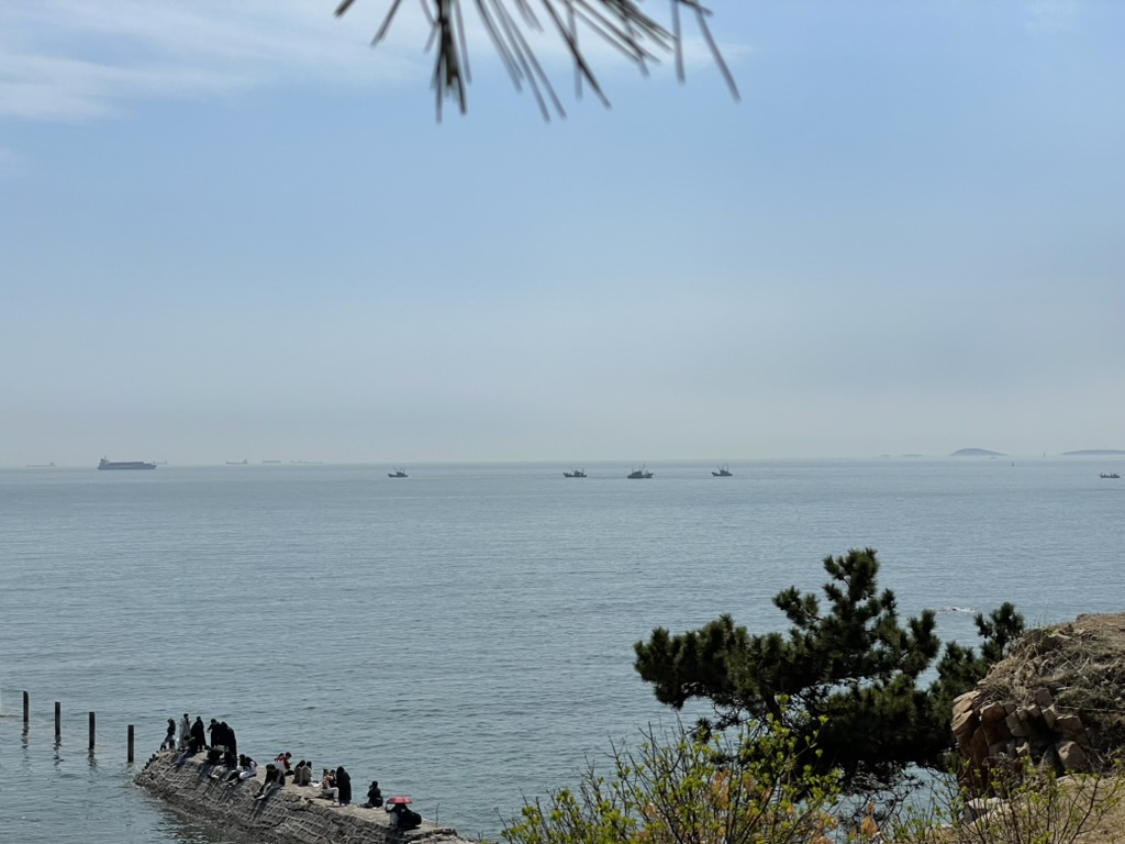 文章图片: 2024年终总结 