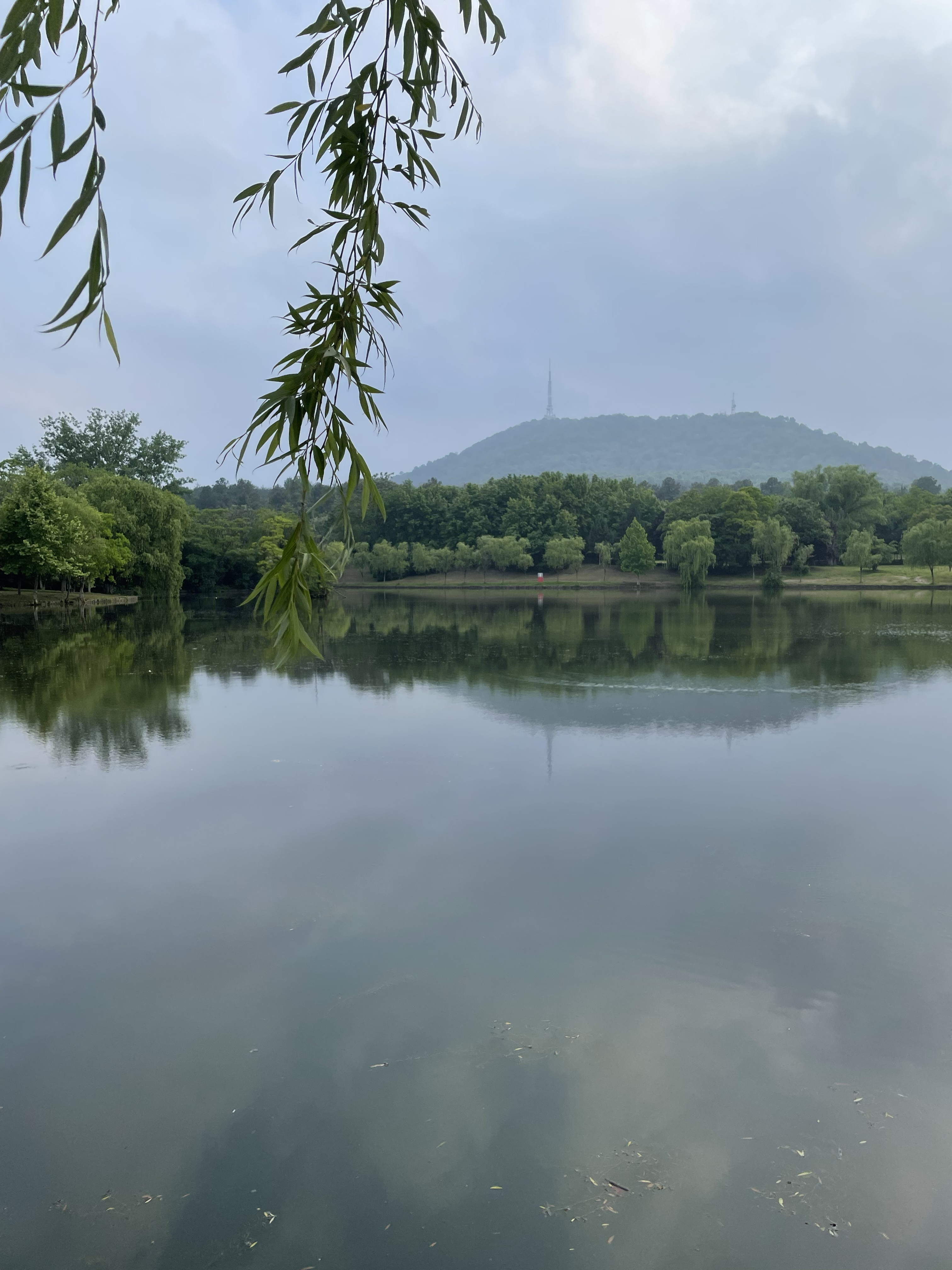 文章图片: 如何处理 loading 闪烁
